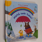 Katie Daynes : Mistä sade tulee? - pikkukuva 1