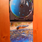 CD: Beach Boys - Summer in Paradise - pikkukuva 3