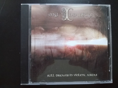 My Insanity - Still Dream In Violent Areas