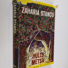 Zaharia Stancu : Hullu metsä - pikkukuva 1