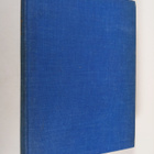 Herbert Read : Vuosisatamme maalaustaiteen historia - pikkukuva 1