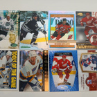Brendan Shanahan x 14kpl - pikkukuva 1