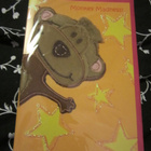 Monkey Madness / Hope Your Day is Fun - 2 osainen kortti - pikkukuva 1