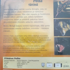 Viidakon poika & The Jungle Book - pikkukuva 2