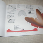 Dinosaurs Papelmodel 2 Tyrannosaurus - pikkukuva 3