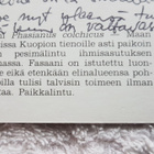 FASAANI Postikortti 1995 - pikkukuva 2