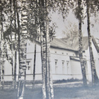 VANHA Postikortti Terijoki Luov. Karjalan Kannas 1920-l - pikkukuva 2