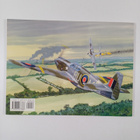 Glen Phillips : Allison Engine Mustang Walk Around - pikkukuva 2