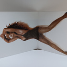 Tina Turner LP - pikkukuva 3