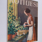 Kotilies N:o 6. Maaliskuu ll - 1933 - pikkukuva 1