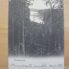VANHA Postikortti Punkaharju 1903 - pikkukuva 1