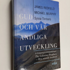 James Redfield : Gud och vår andliga utveckling - pikkukuva 1