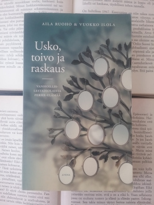 Ruoho, Ilola - Usko, toivo ja raskaus (pokkari)