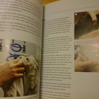 DIY Dog Grooming - From Puppy Cuts to Best in Show - Uusi - pikkukuva 5
