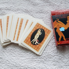 Greek Ancient Lovers Playing Cards pelikortit - pikkukuva 1