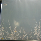 SHINS - OH, INVERTED WORLD  2005 UUSI "SS"  LP - pikkukuva 2