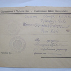 Vapaakirje Uudenmaan Läänin Kuvernööri Kääntäjä Leima 1900-l - pikkukuva 1