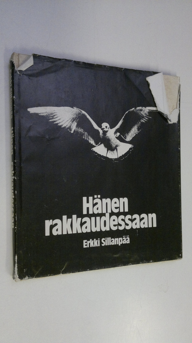 Erkki Sillanpää : Hänen rakkaudessaan