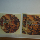 V/A Karmaphobia * The Fear Of Facing The Music - pikkukuva 3