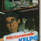 YV n:o 1 1984 Eeva-Liisa Kortelahti. Kalle v: Rintanen. Chin - pikkukuva 4