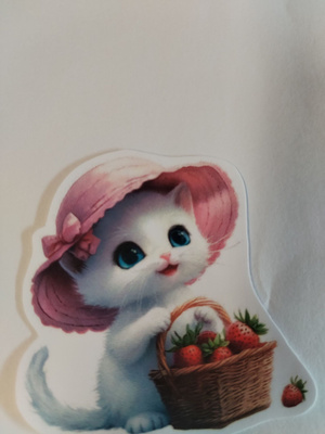 Kissa tarra.