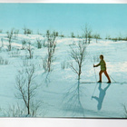 Lahti: Finlandia hiihto (erikoisleima 5.3.1979) - pikkukuva 2