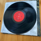 David Lee Roth skyscraper LP - pikkukuva 3