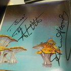YES - YESSONGS EX-/VG++ 3LP KOKO BÄNDIN NIMMAREILLA ! - pikkukuva 2
