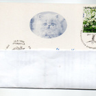 Jyväskylä: Symposium of parasitolo (erikoisleima 15.6.1995) - pikkukuva 1