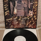 Krister lp - pikkukuva 2