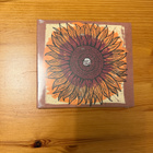Melvins singles CD - pikkukuva 1