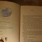 Veronica Roth: Outolintu, pokkari, hyvä - pikkukuva 3