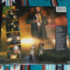 DAVID ALLAN COE ~ Hello In There ~ LP - pikkukuva 2