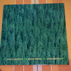 enso-gutzeit eino grön evergreens LP - pikkukuva 1