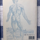 Hervonen: Tuki -ja liikuntaelimistön anatomia. - pikkukuva 2