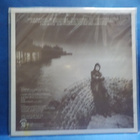STEVE HACKETT - PLEASE DON'T TOUCH M-/M- SCAND 1ST -78 LP - pikkukuva 2