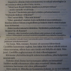 Helen Field: BRIDGET JONES - Mad about the Boy - Mini kirja - pikkukuva 2
