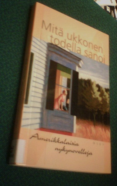 Mitä ukkonen todella sanoi - Amerikkalaisia nykynovelleja