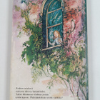 Shirley Hughes : Lukitun talon salaisuus - pikkukuva 2