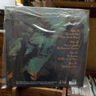 LORD VICAR - FEAR NO PAIN M-/M- 2LP - pikkukuva 2