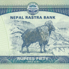 Nepal 50 Rupees 2012 P72 Thar - Himalajan Urosvuohi #436 - pikkukuva 1