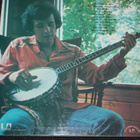 Don McLean - Playin' Favorites LP - pikkukuva 2