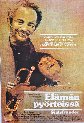 Elokuvajuliste: Elämän pyörteissä