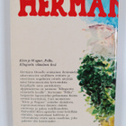 Hermann Hesse : Katoava kesä : kertomuksia - pikkukuva 2
