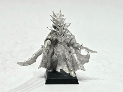 WHFB - Dark Elf Lokhir Fellheart [G35]