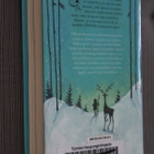 Matt Haig : Poika nimeltä Joulu ( 1.p. 2016 k.po ) - pikkukuva 2