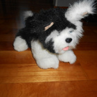 Furreal friends mustavalkoinen koiranpentu (#2988) - pikkukuva 1