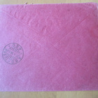 1898 Hki Solhems Blomsterhem - pikkukuva 2