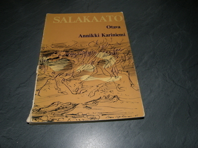 Annikki Kariniemi Salakaato