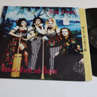 Army Of Lovers - The Gods Of Earth And Heaven-LP *ORIG 1993* - pikkukuva 1